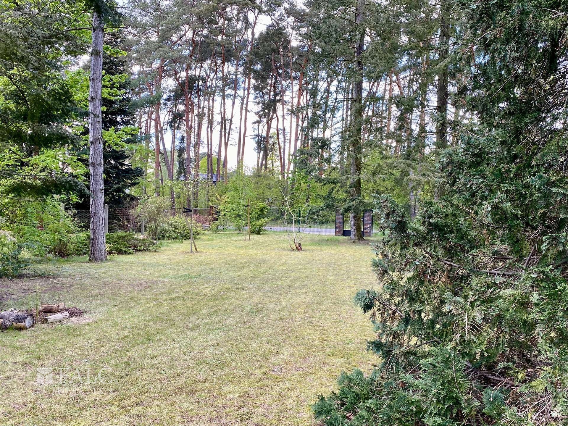 Baugrundstück Bild 2